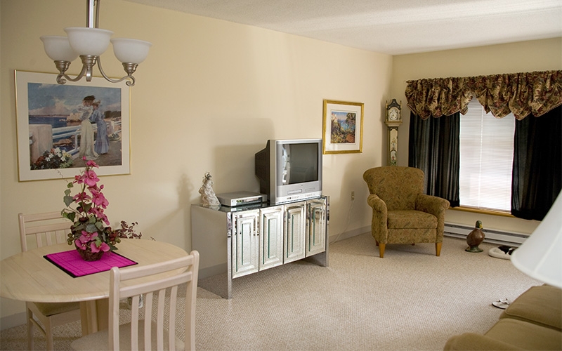 Bridle Path unit living room