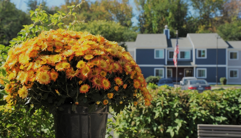 Cherry Hill flowers