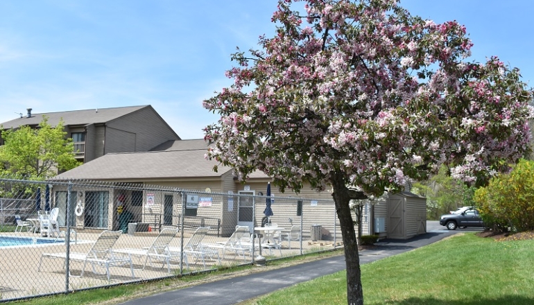 Bedford Village pool