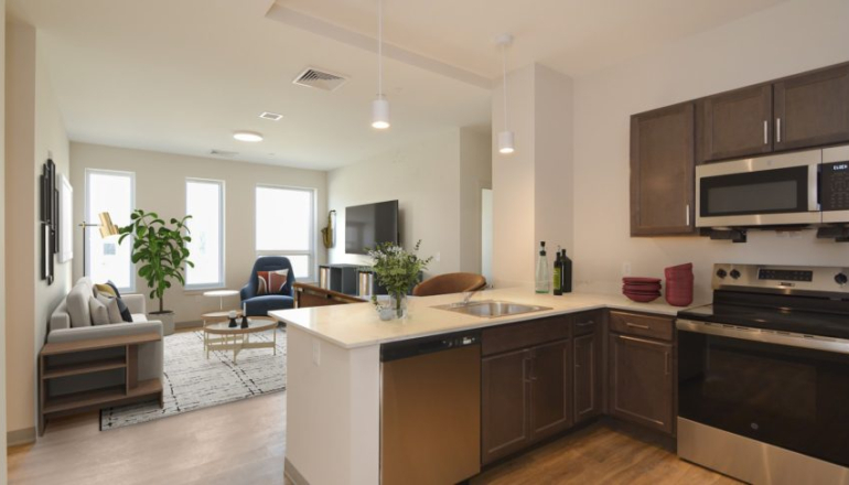 Flat 9 kitchen/livingroom