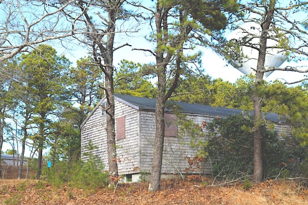 building in woods