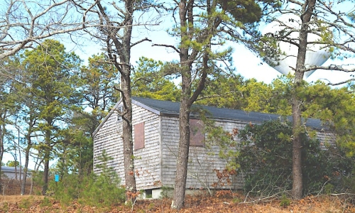 building in woods